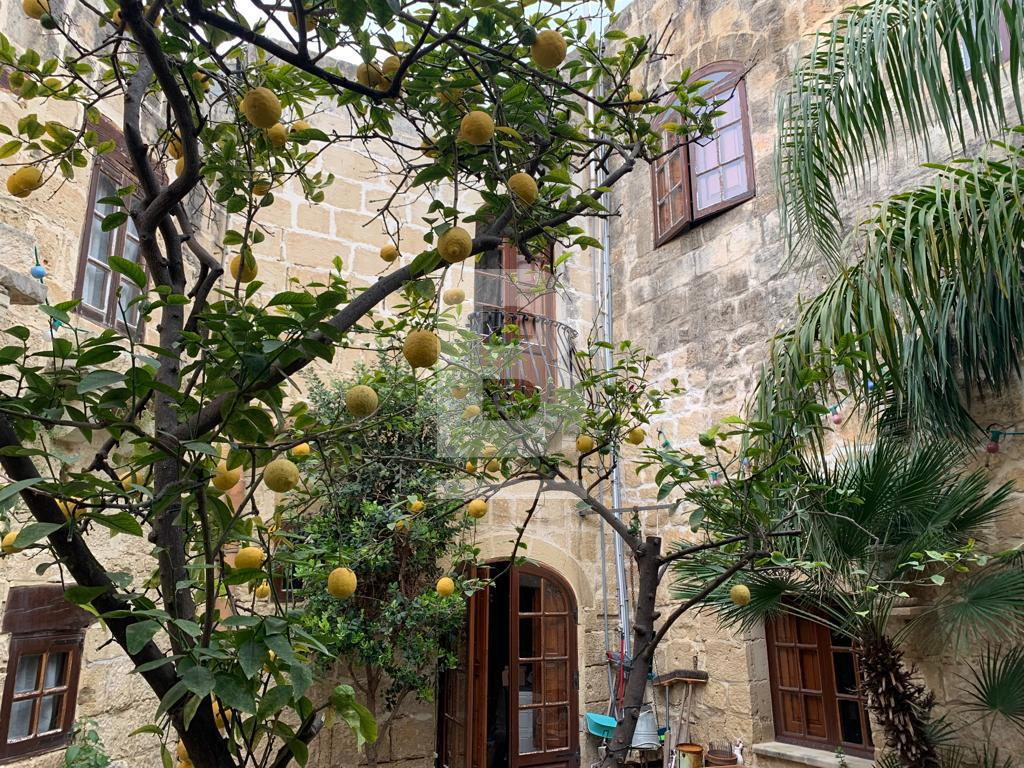 Недвижимость в Birkirkara